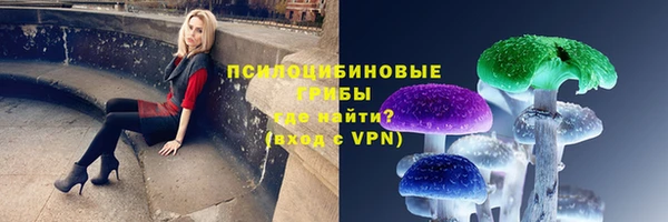 ALPHA PVP Богородск