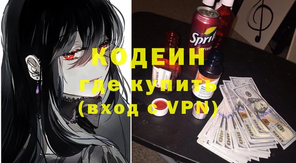 молекула духа Богородицк