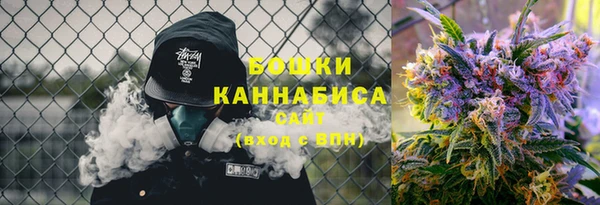 молекула духа Богородицк
