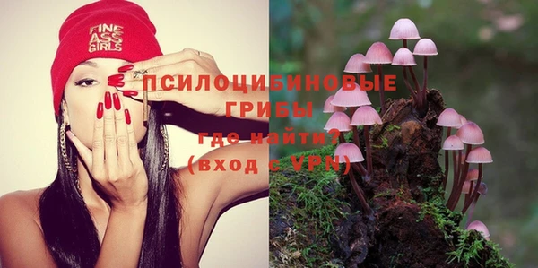 молекула духа Богородицк
