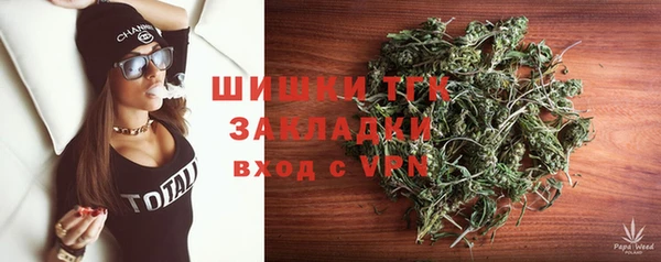 молекула духа Богородицк