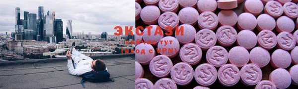 молекула духа Богородицк