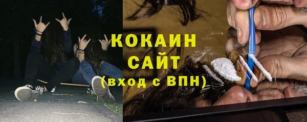 молекула духа Богородицк